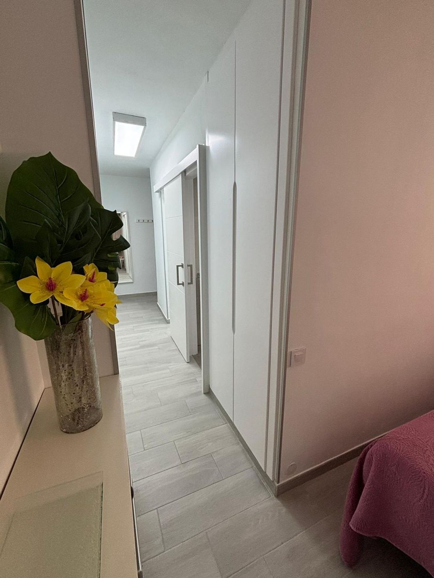 Pisos-Alquiler-Las Palmas de Gran Canaria-1834861-Foto-15