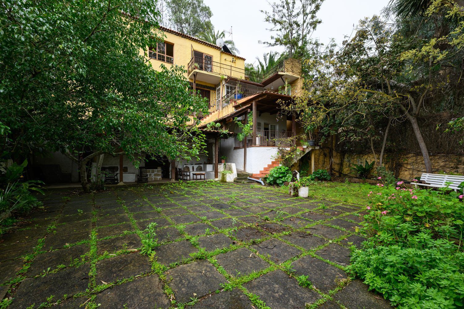 Casas o chalets-Venta-Santa BrÃ­gida-1763429-Foto-2