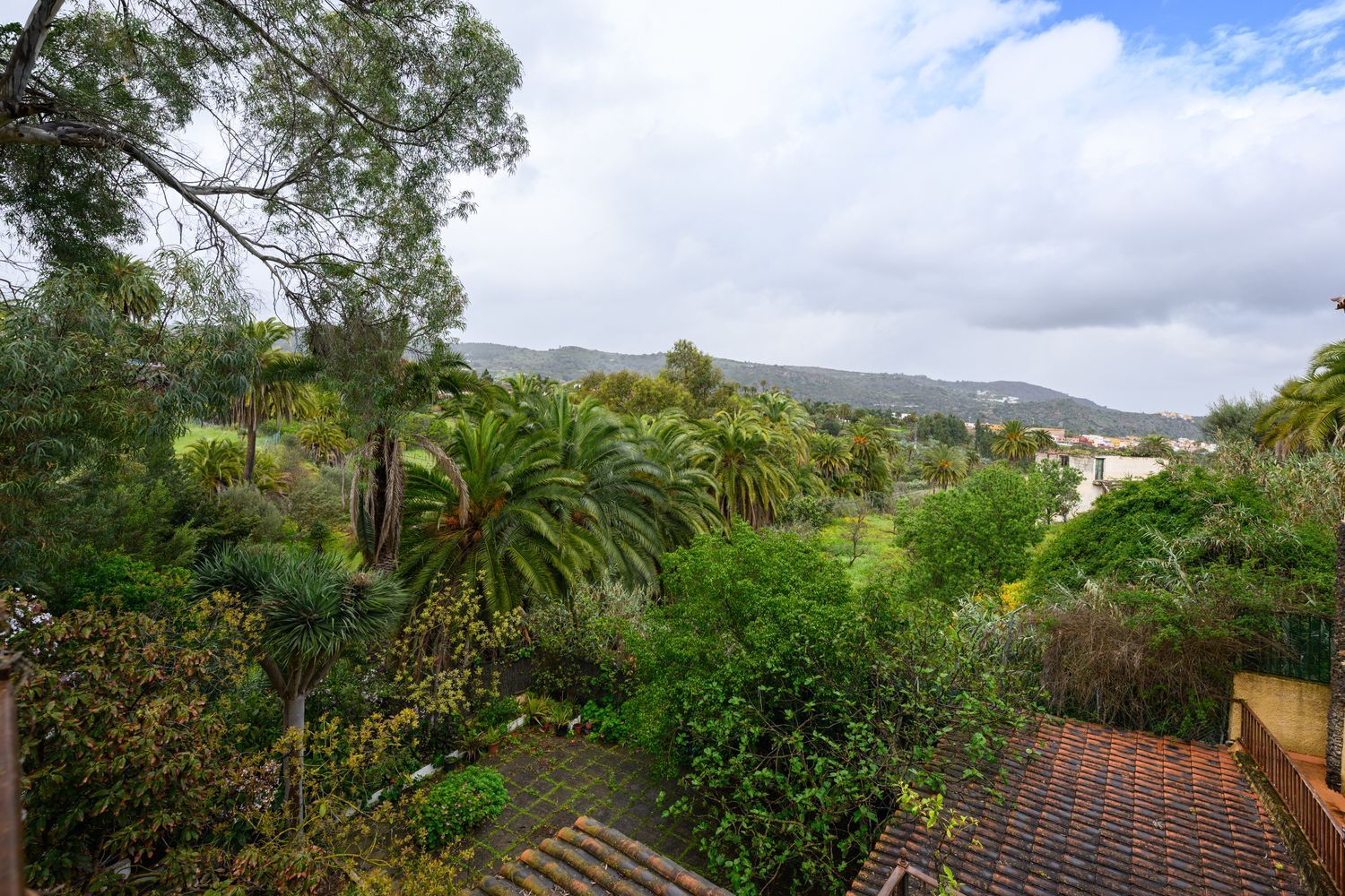 Casas o chalets-Venta-Santa BrÃ­gida-1763429-Foto-30