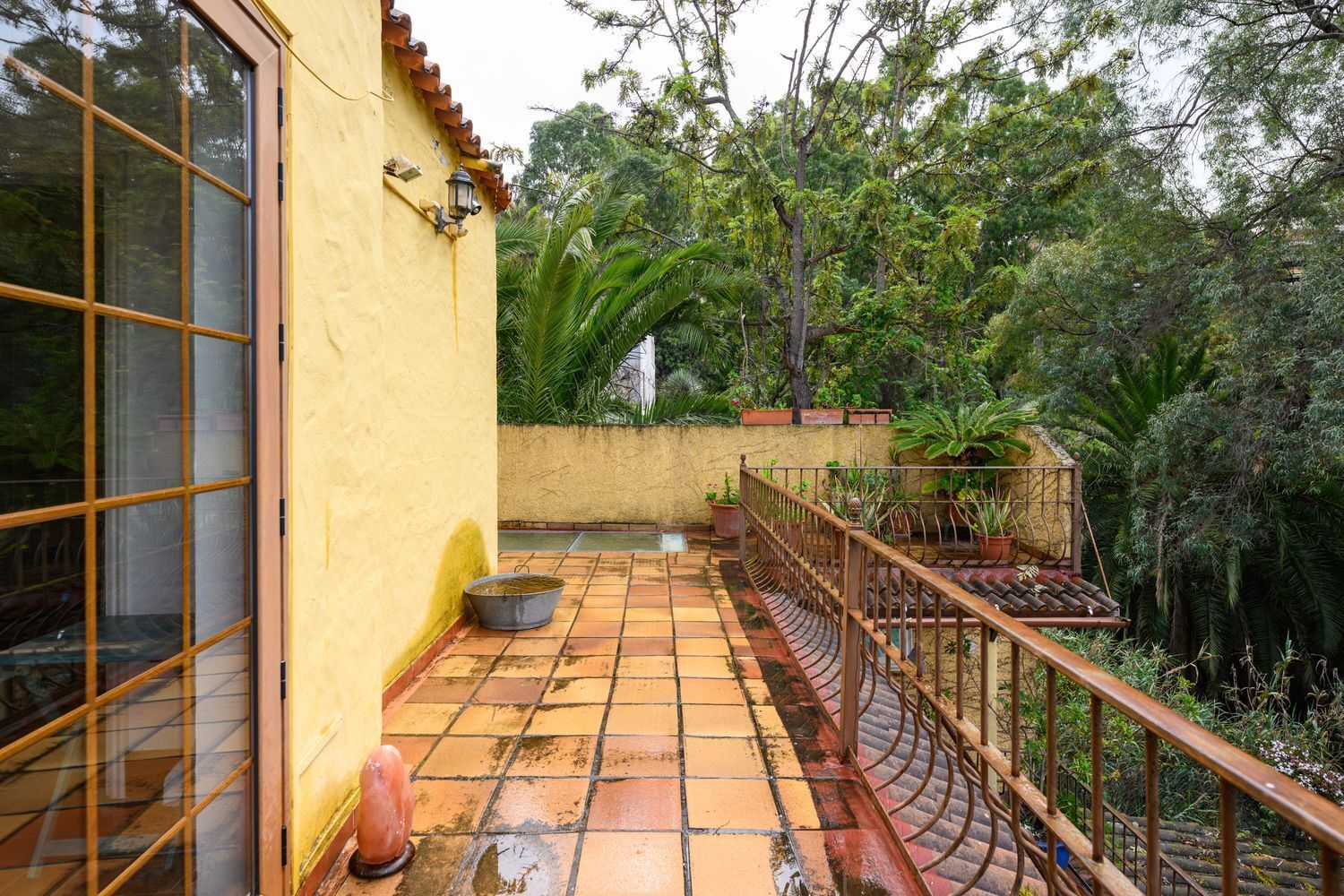 Casas o chalets-Venta-Santa BrÃ­gida-1763429-Foto-32