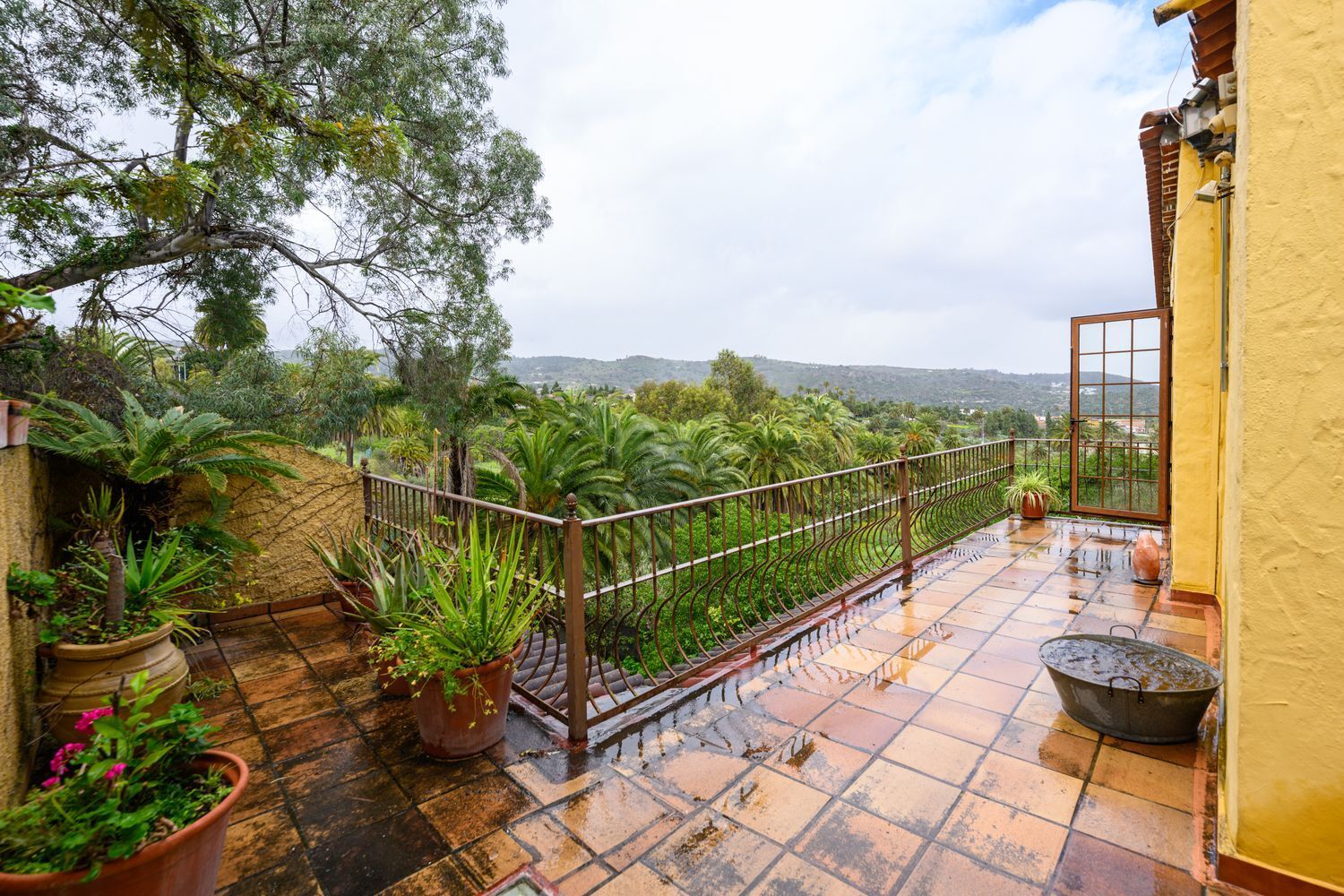 Casas o chalets-Venta-Santa BrÃ­gida-1763429-Foto-34