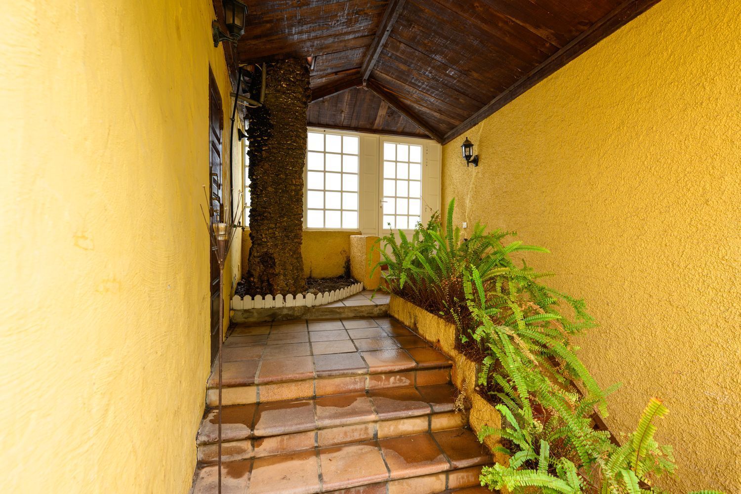 Casas o chalets-Venta-Santa BrÃ­gida-1763429-Foto-47