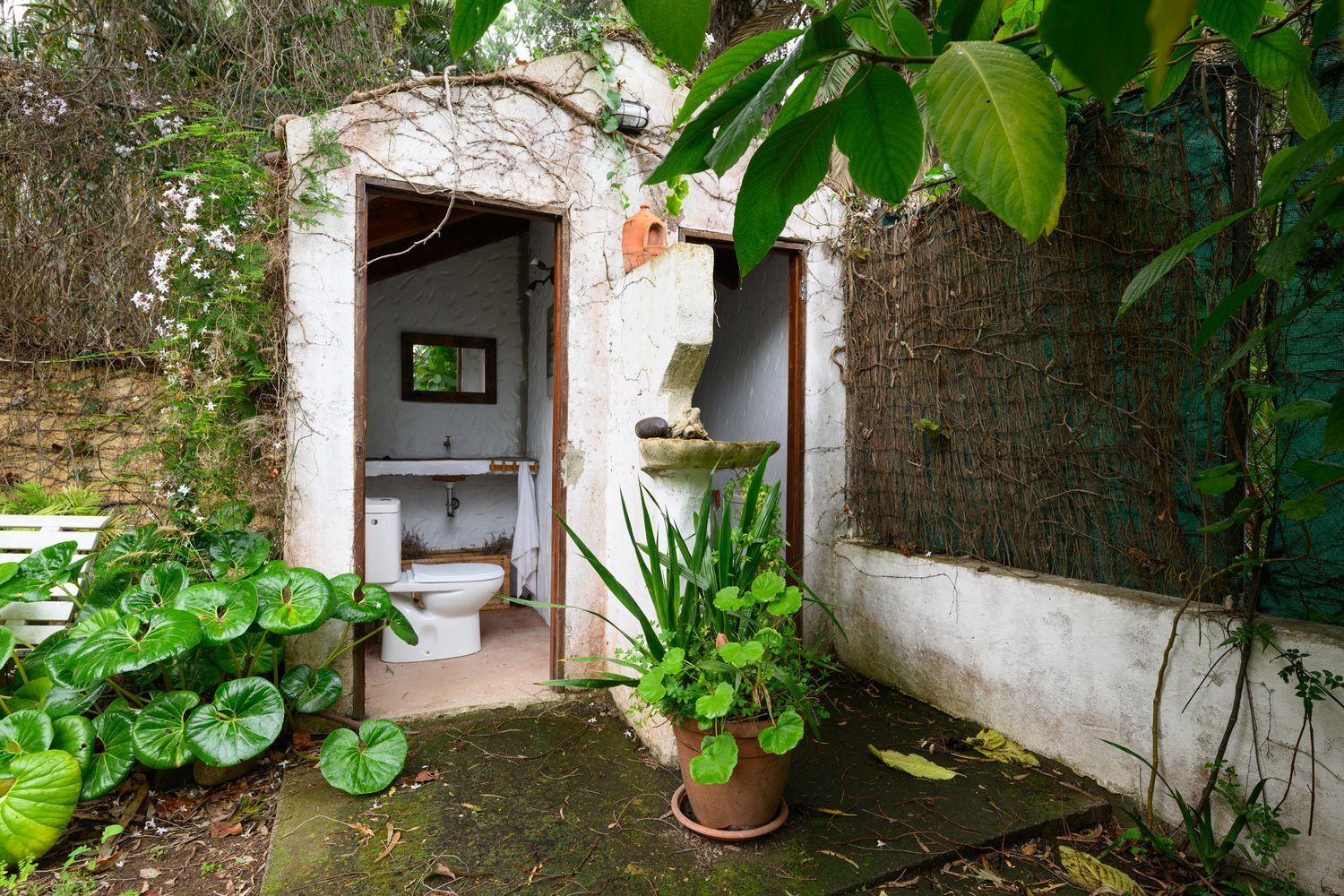 Casas o chalets-Venta-Santa BrÃ­gida-1763429-Foto-60