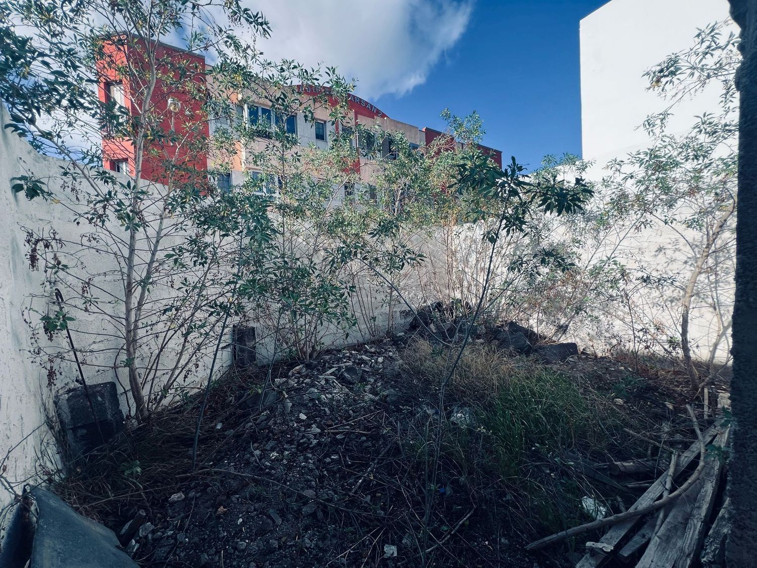Fincas y solares-Venta-Telde-1652838-Foto-7