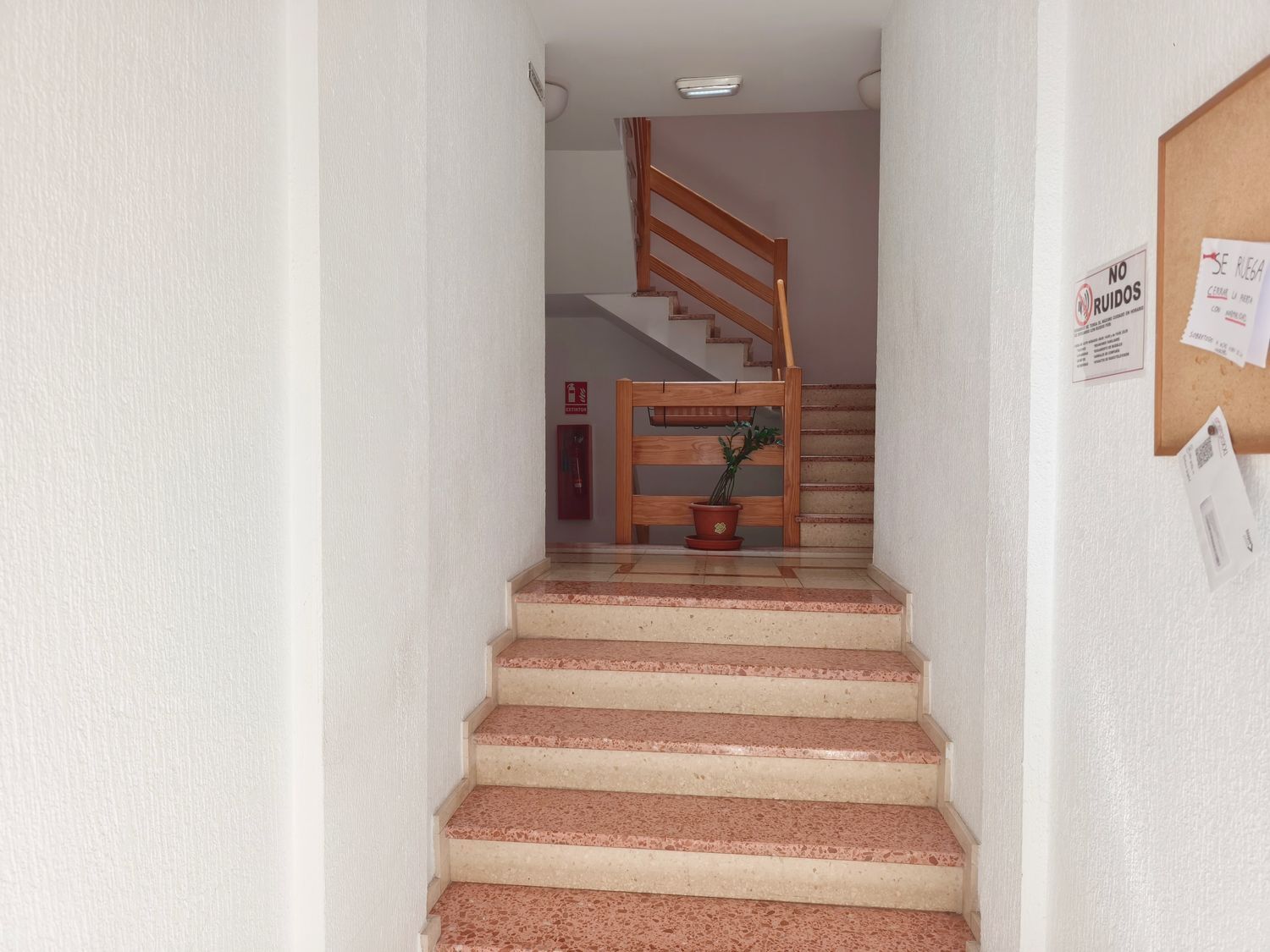Pisos-Venta-Telde-1834870-Foto-16