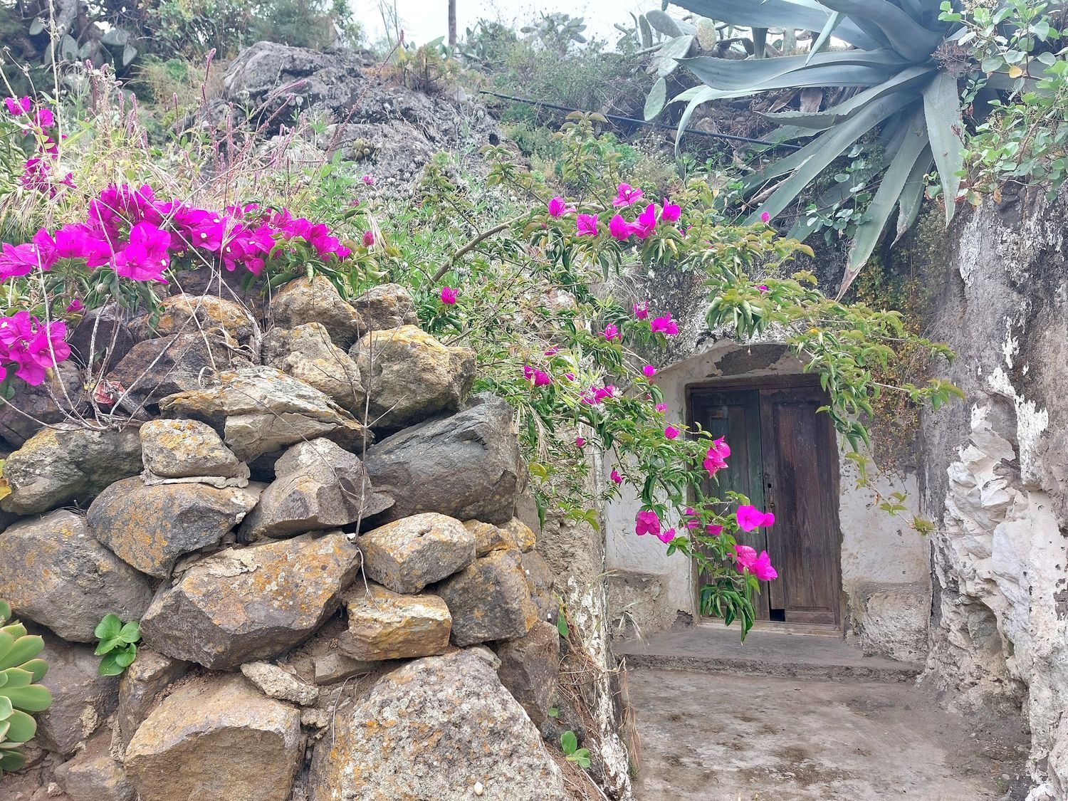 Casas o chalets-Venta-Santa MarÃ­a de GuÃ­a de Gran Canaria-1717056-Foto-2