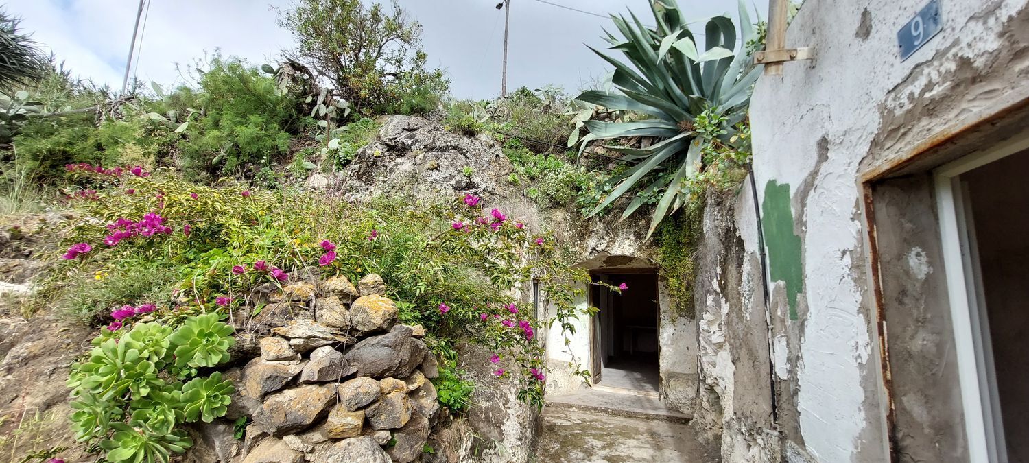 Casas o chalets-Venta-Santa MarÃ­a de GuÃ­a de Gran Canaria-1717056-Foto-4