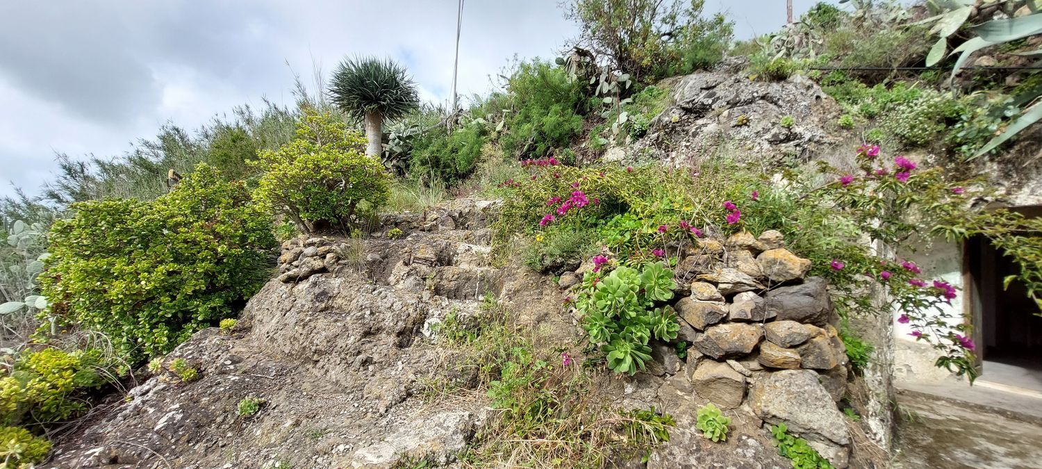 Casas o chalets-Venta-Santa MarÃ­a de GuÃ­a de Gran Canaria-1717056-Foto-10