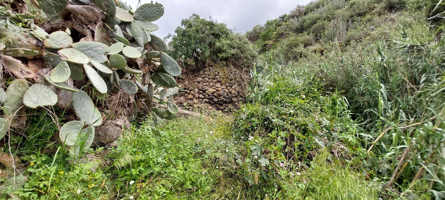 Casas o chalets-Venta-Santa MarÃ­a de GuÃ­a de Gran Canaria-1717056-Foto-28