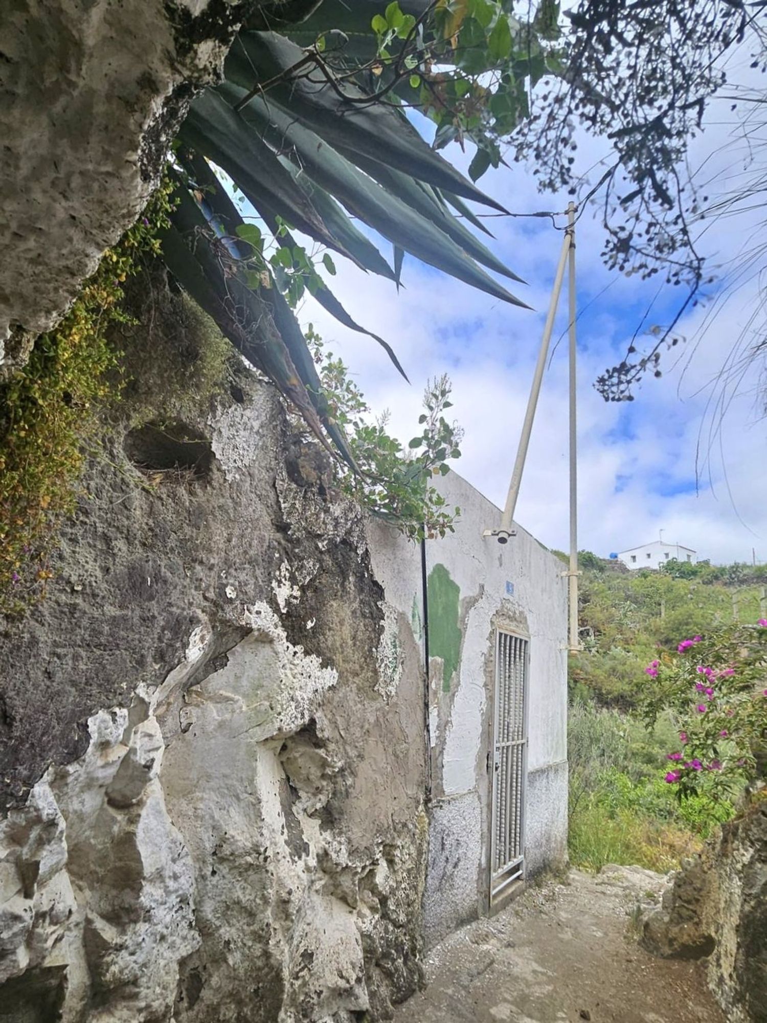 Casas o chalets-Venta-Santa MarÃ­a de GuÃ­a de Gran Canaria-1717056-Foto-41