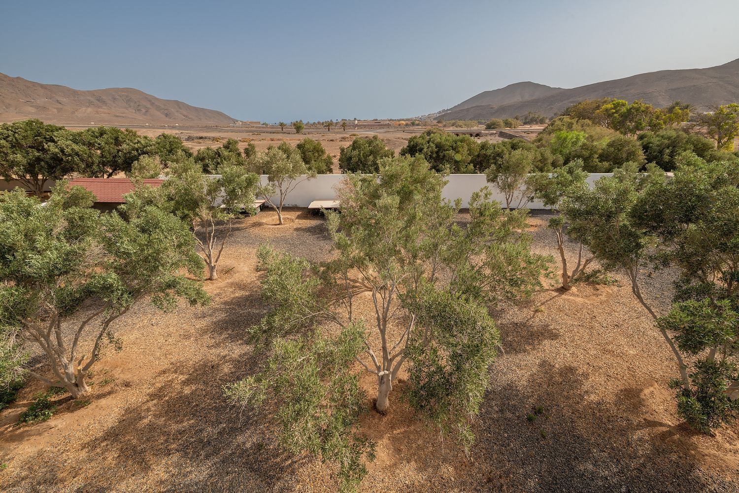 Casas o chalets-Venta-Tuineje-1833992-Foto-35