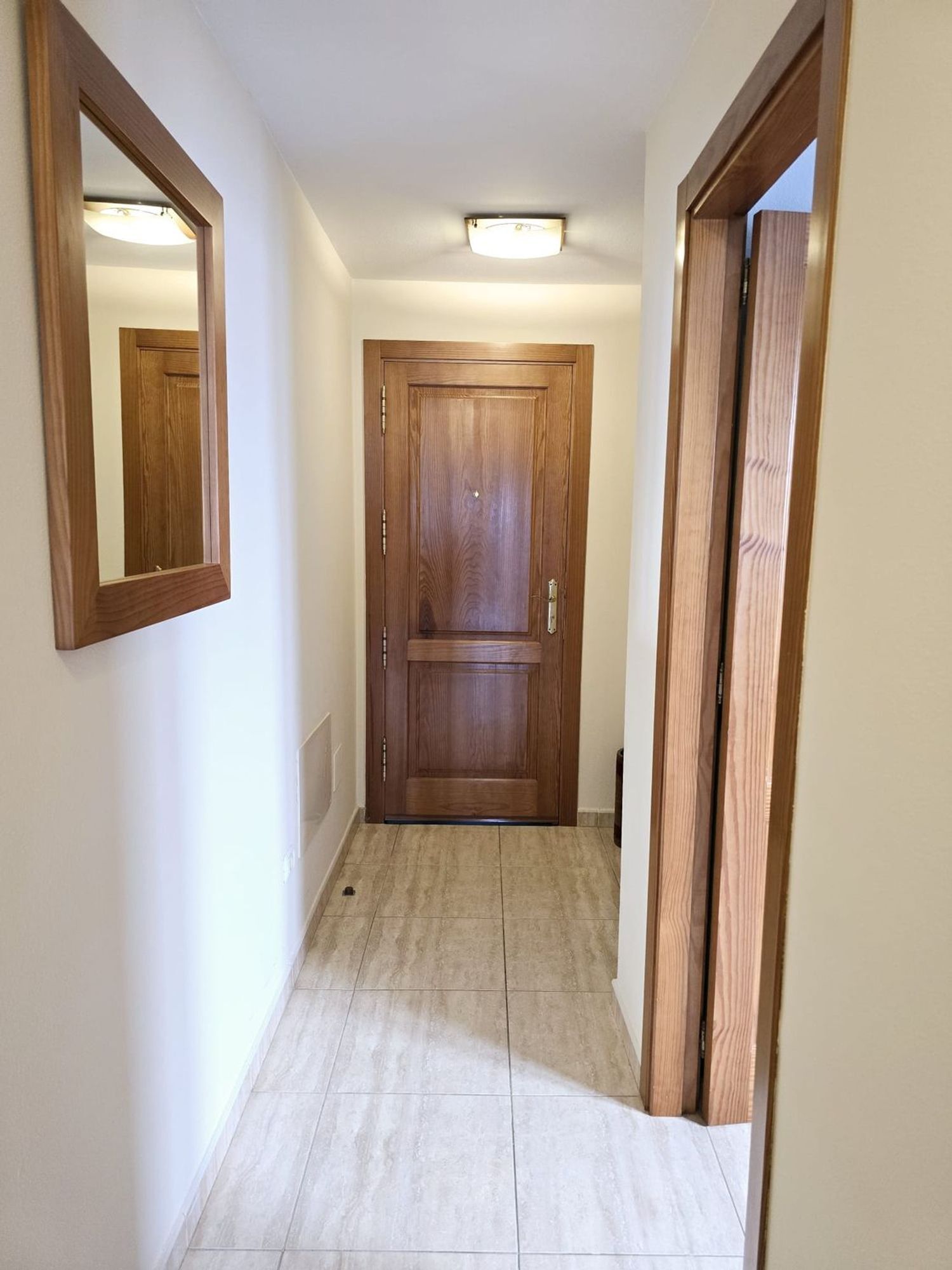 Pisos-Alquiler-AgÃ¼imes-1834001-Foto-21