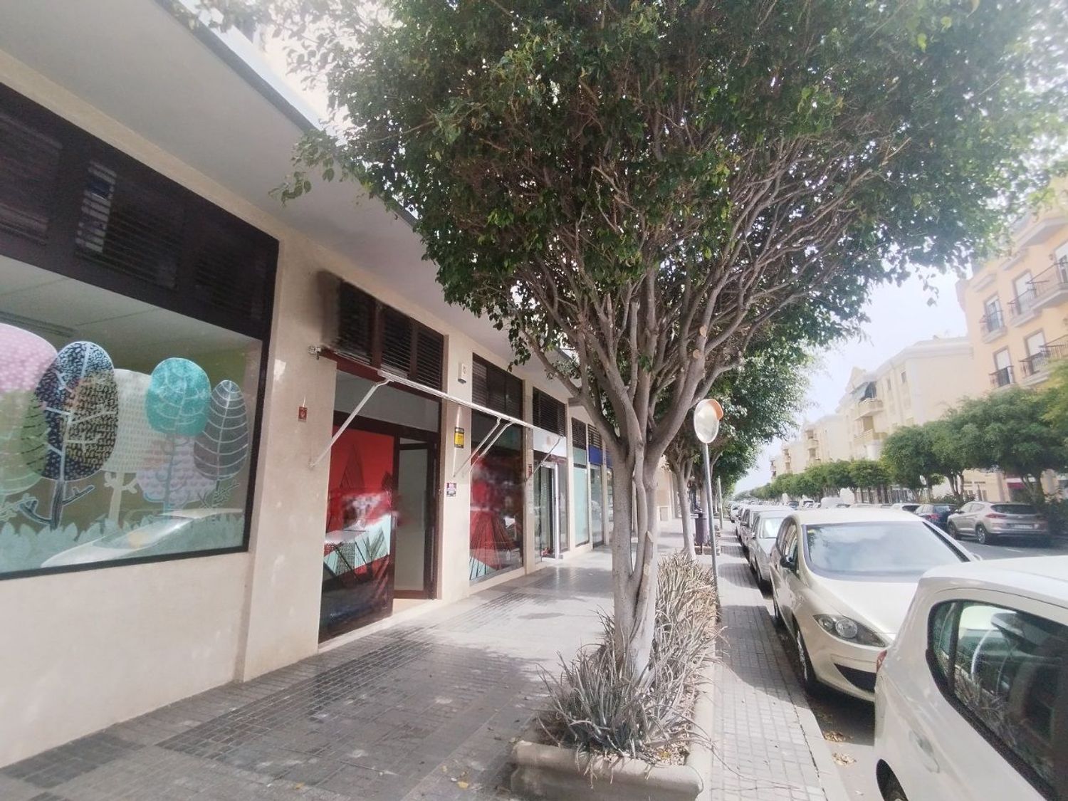 Negocios-Alquiler-Las Palmas de Gran Canaria-1834013-Foto-3
