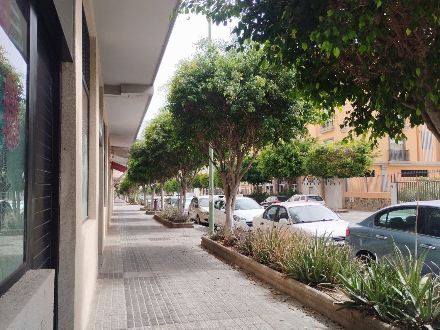 Negocios-Alquiler-Las Palmas de Gran Canaria-1834013-Foto-2