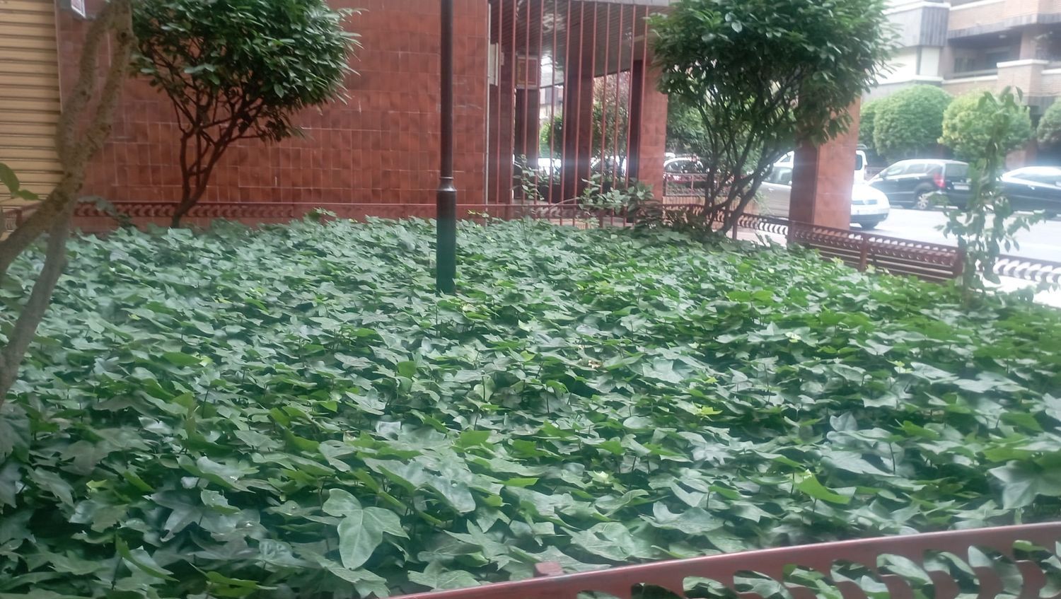 Pisos-Alquiler-Valladolid-1834894