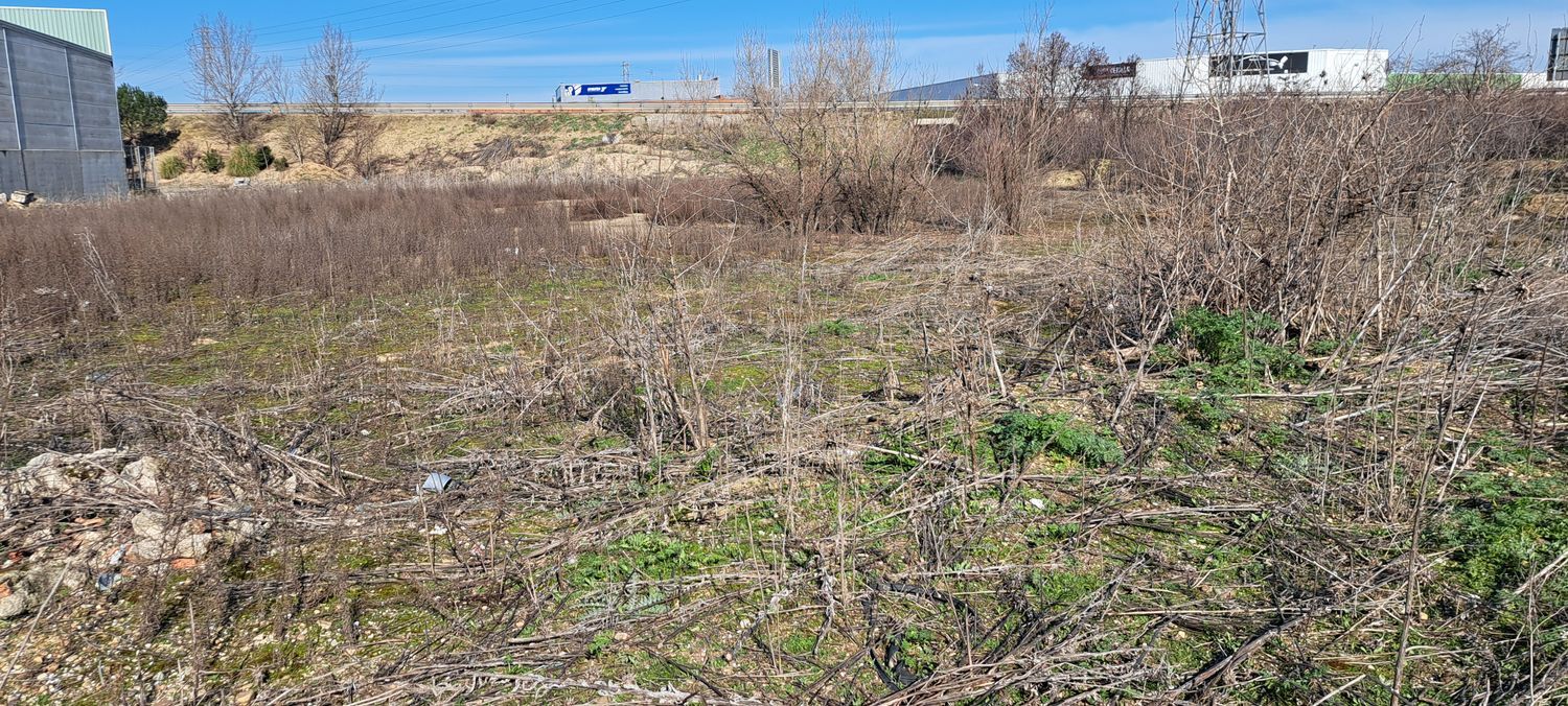 Fincas y solares-Venta-Santovenia de Pisuerga-1655210-Foto-4