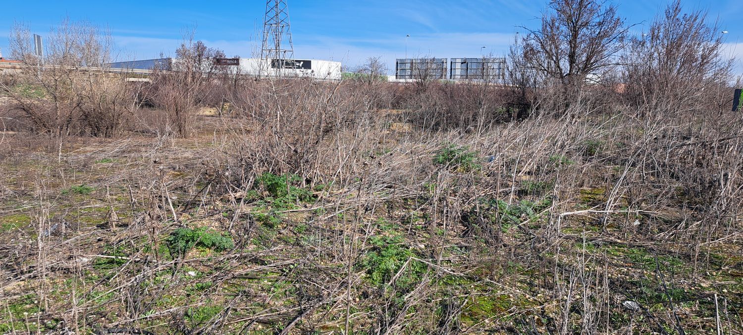 Fincas y solares-Venta-Santovenia de Pisuerga-1655210-Foto-11