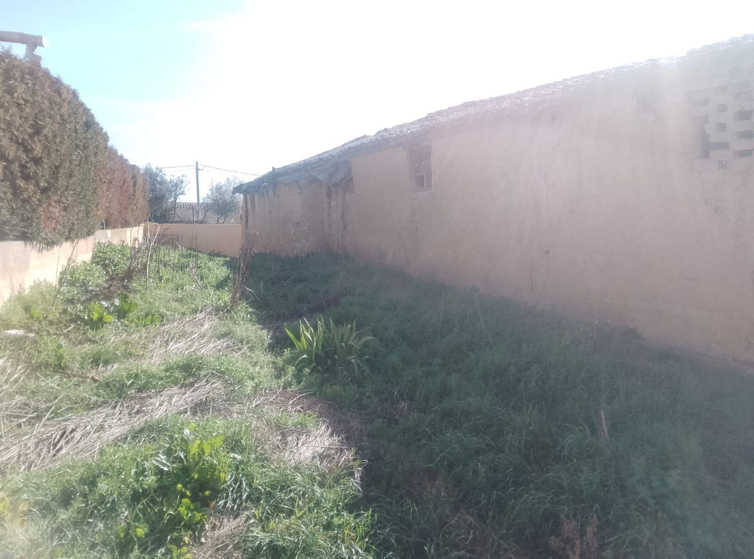 Casas o chalets-Venta-Mota del MarquÃ©s-1752243-Foto-12