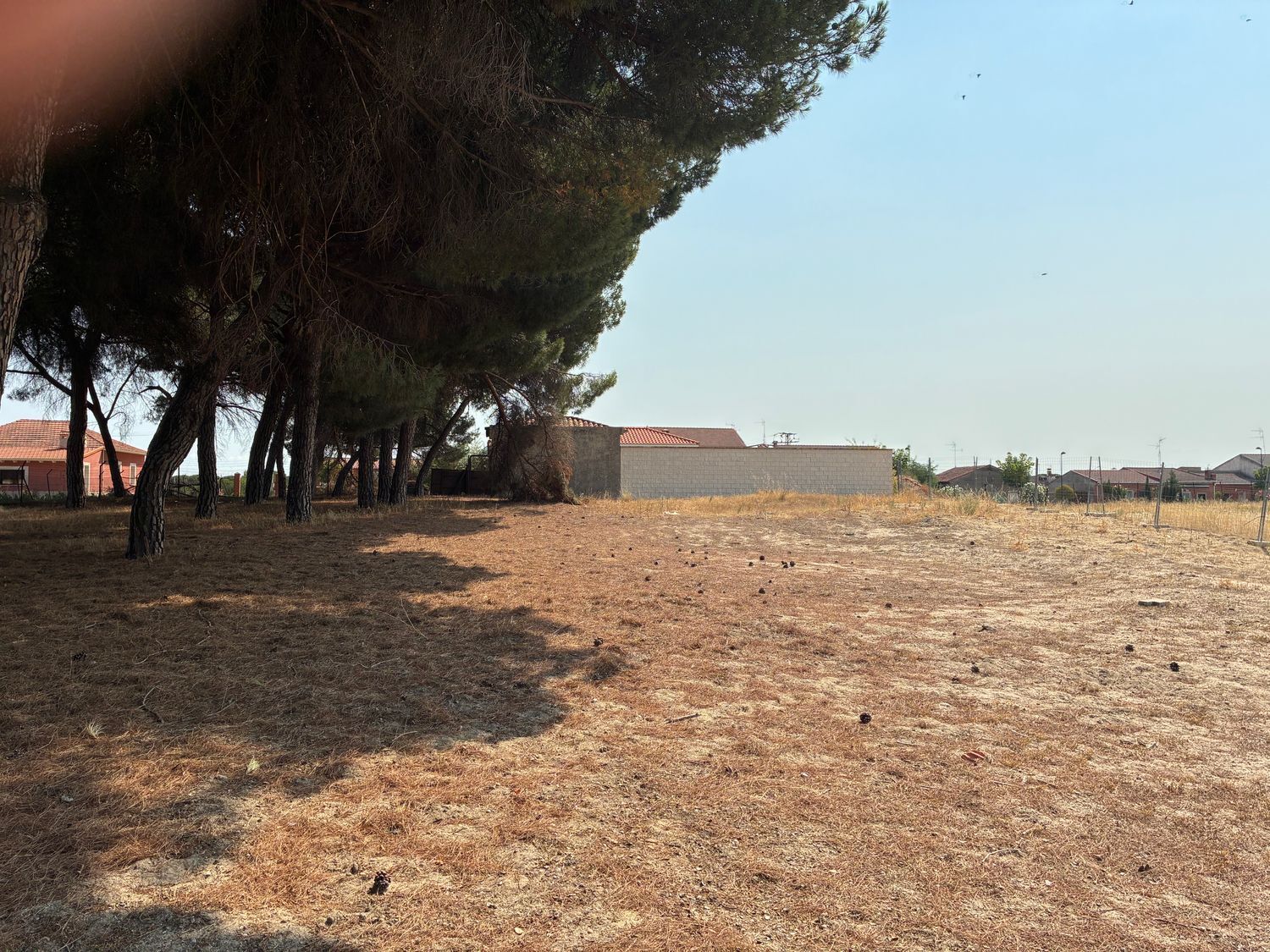 Fincas y solares-Venta-Valdestillas-1834909-Foto-3