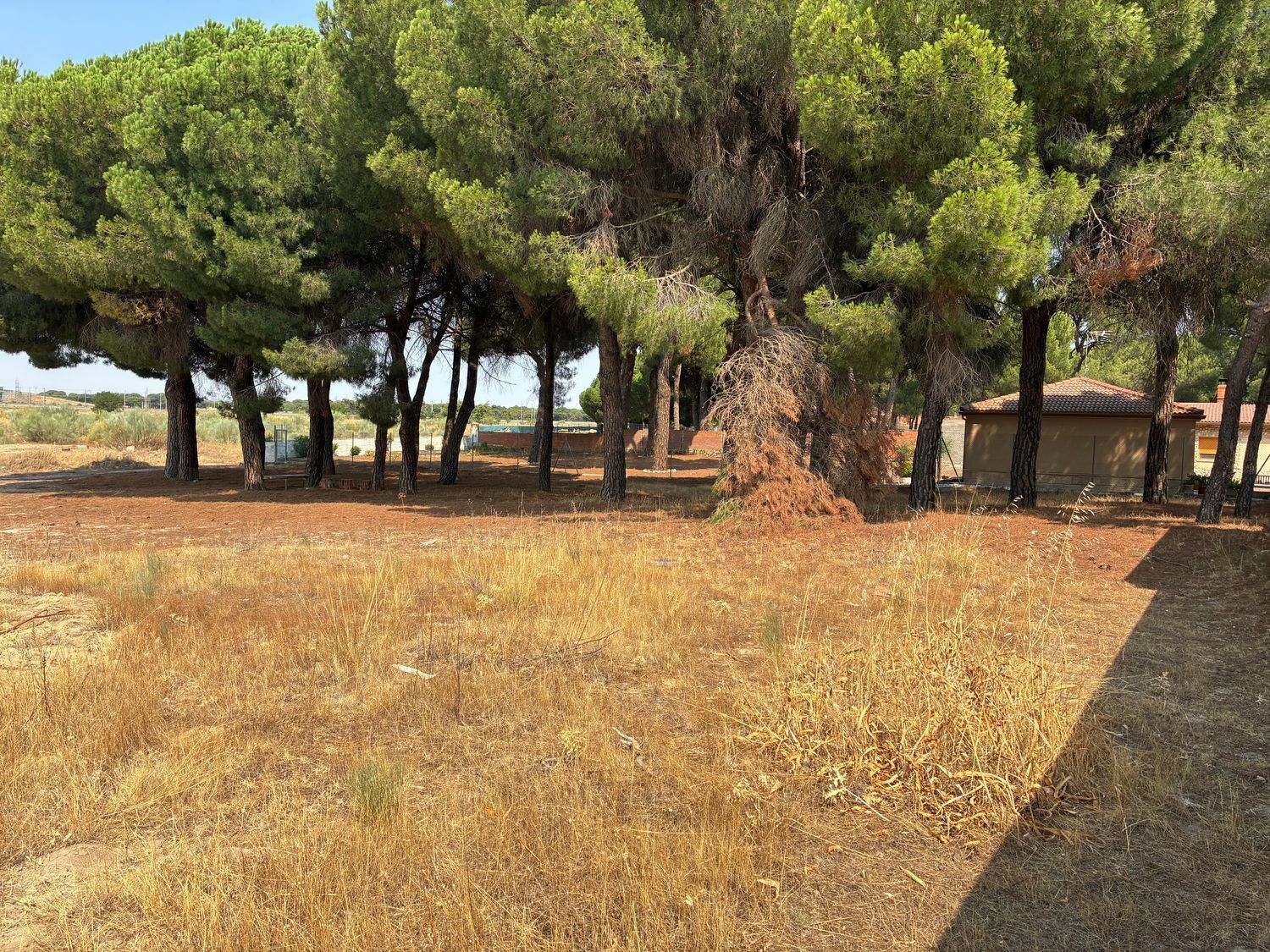 Fincas y solares-Venta-Valdestillas-1834909-Foto-5