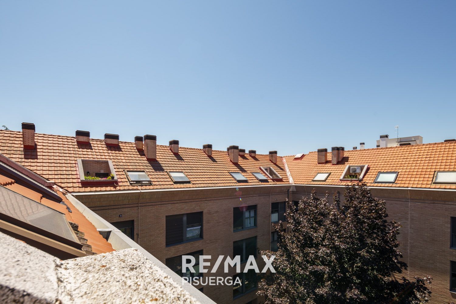 Pisos-Venta-Valladolid-826794-Foto-23
