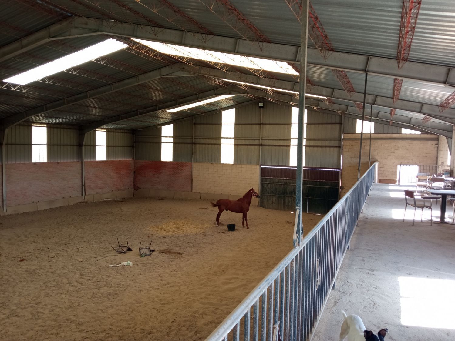 Naves-Venta-AlcazarÃ©n-914963-Foto-3