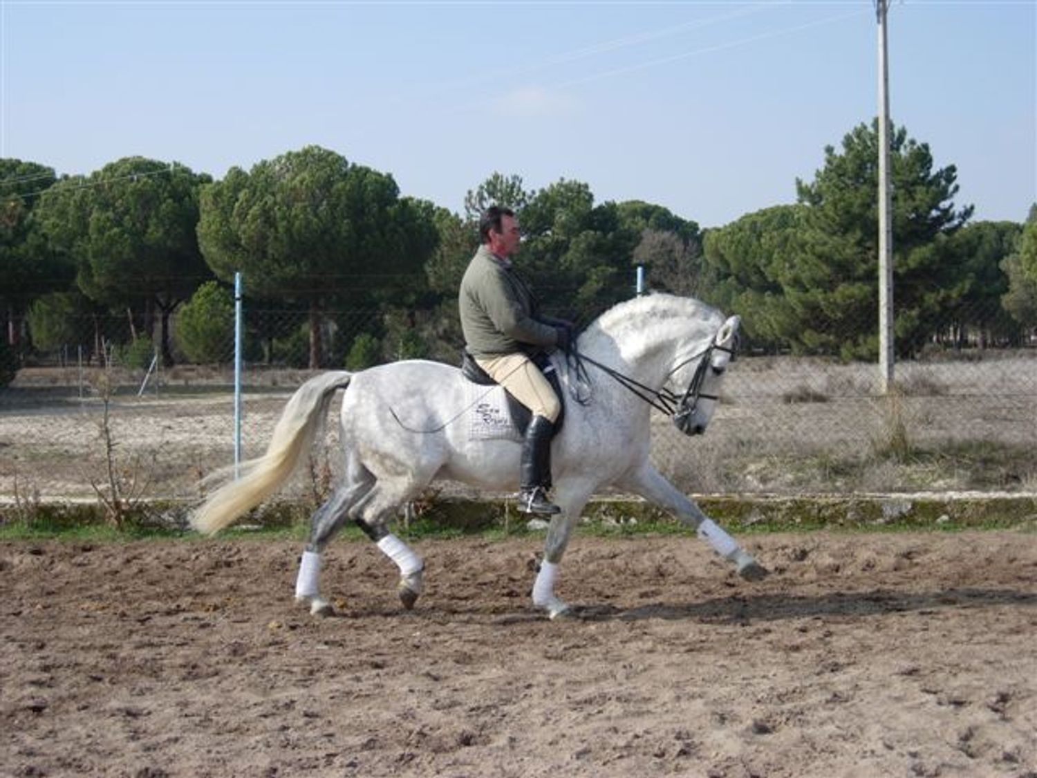 Naves-Venta-AlcazarÃ©n-914963-Foto-4