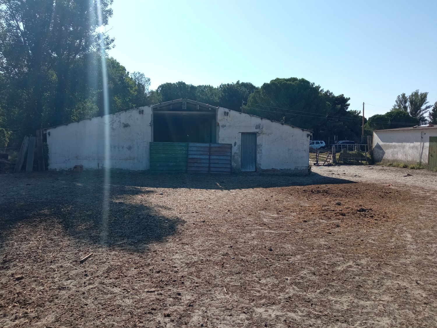 Naves-Venta-AlcazarÃ©n-914963-Foto-10