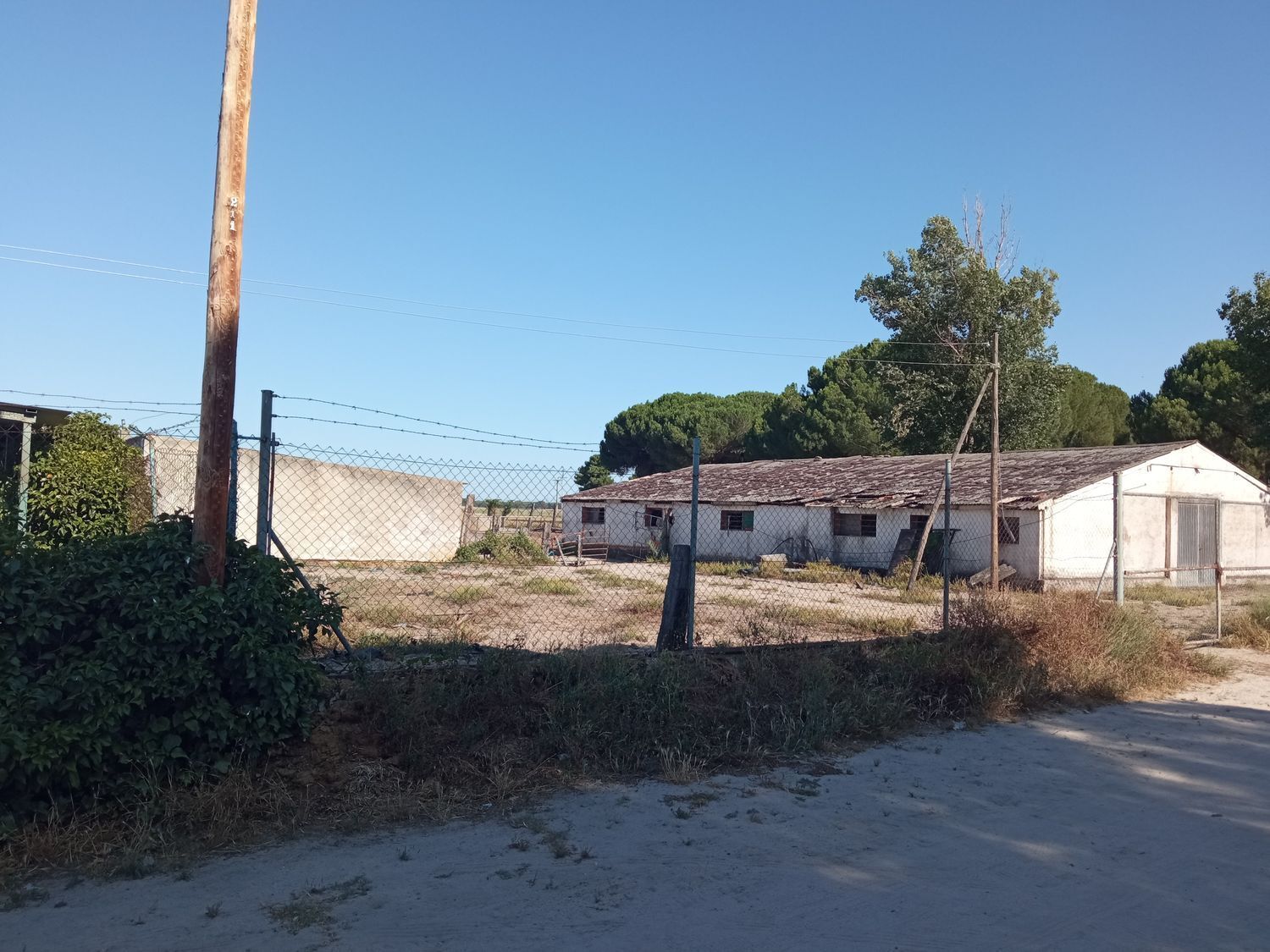 Naves-Venta-AlcazarÃ©n-914963-Foto-8