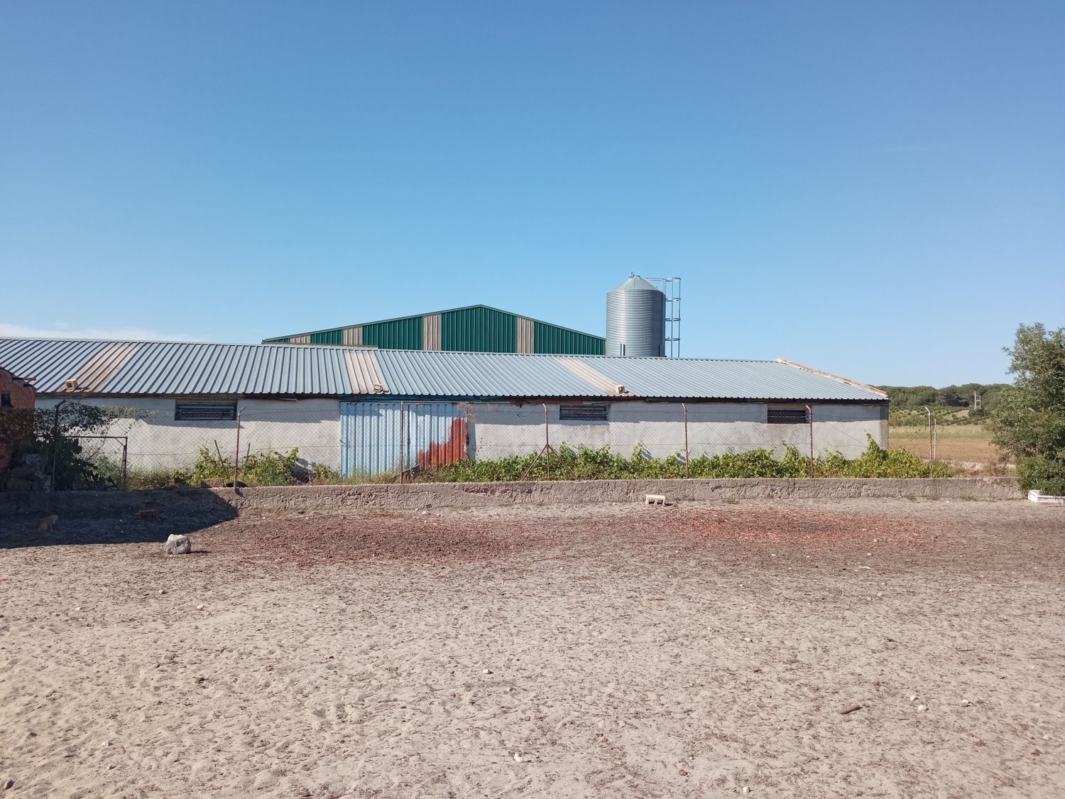 Naves-Venta-AlcazarÃ©n-914963-Foto-11