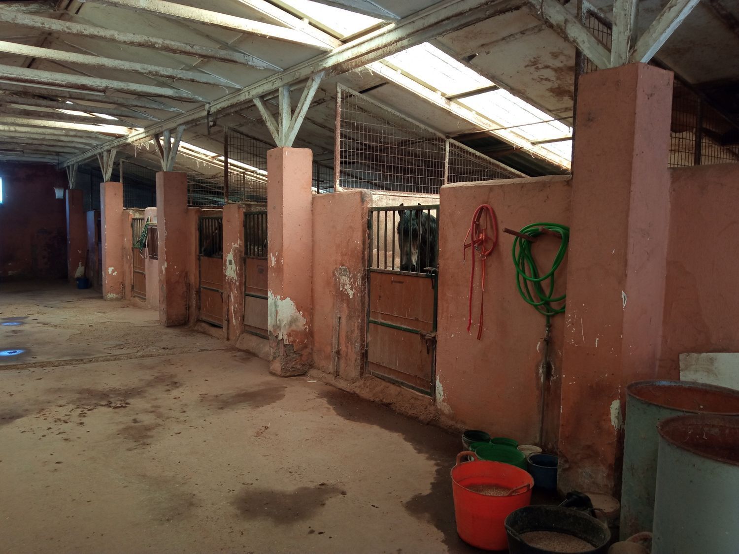 Naves-Venta-AlcazarÃ©n-914963-Foto-22