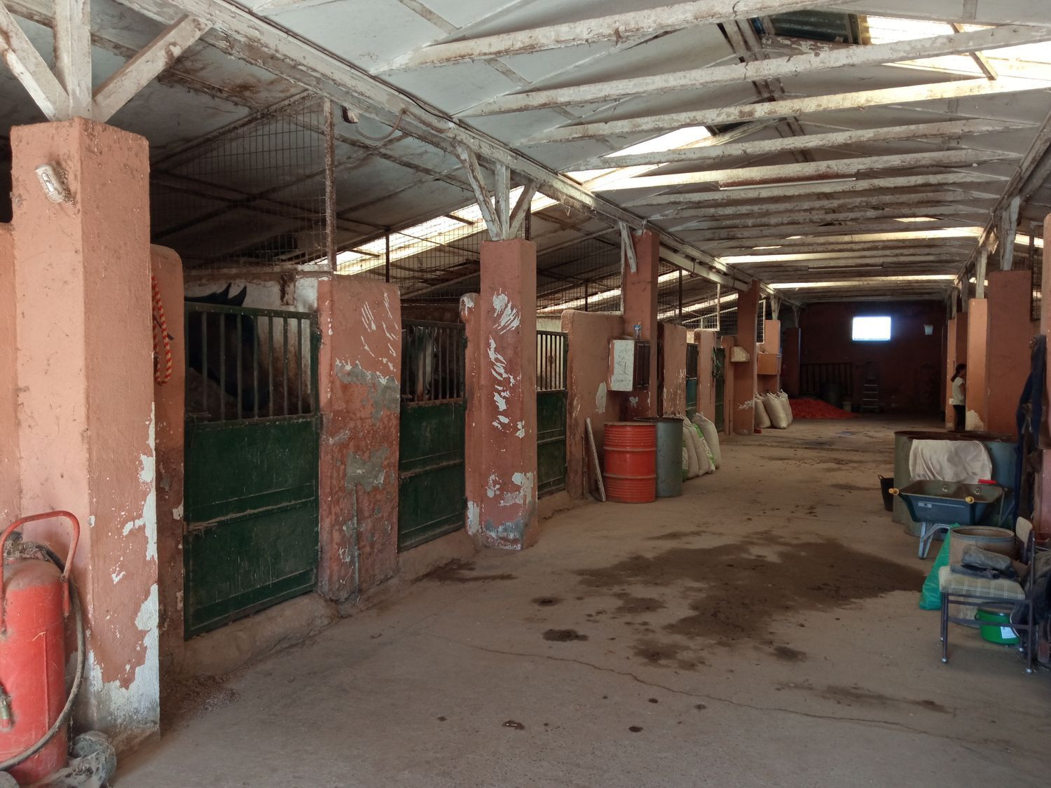 Naves-Venta-AlcazarÃ©n-914963-Foto-23