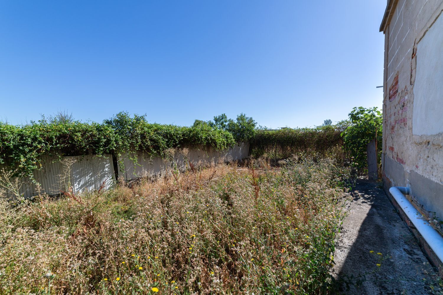 Casas o chalets-Venta-Benavente-1398045-Foto-40