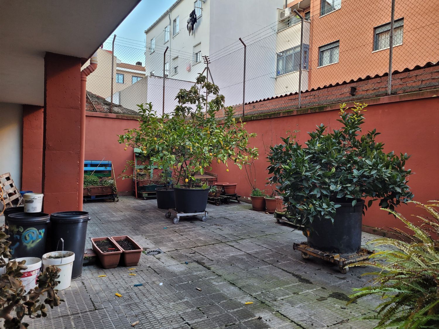 Negocios-Venta-Valladolid-1639137-Foto-26