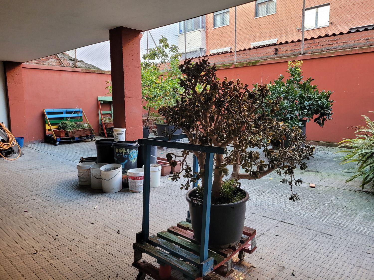 Negocios-Venta-Valladolid-1639137-Foto-25