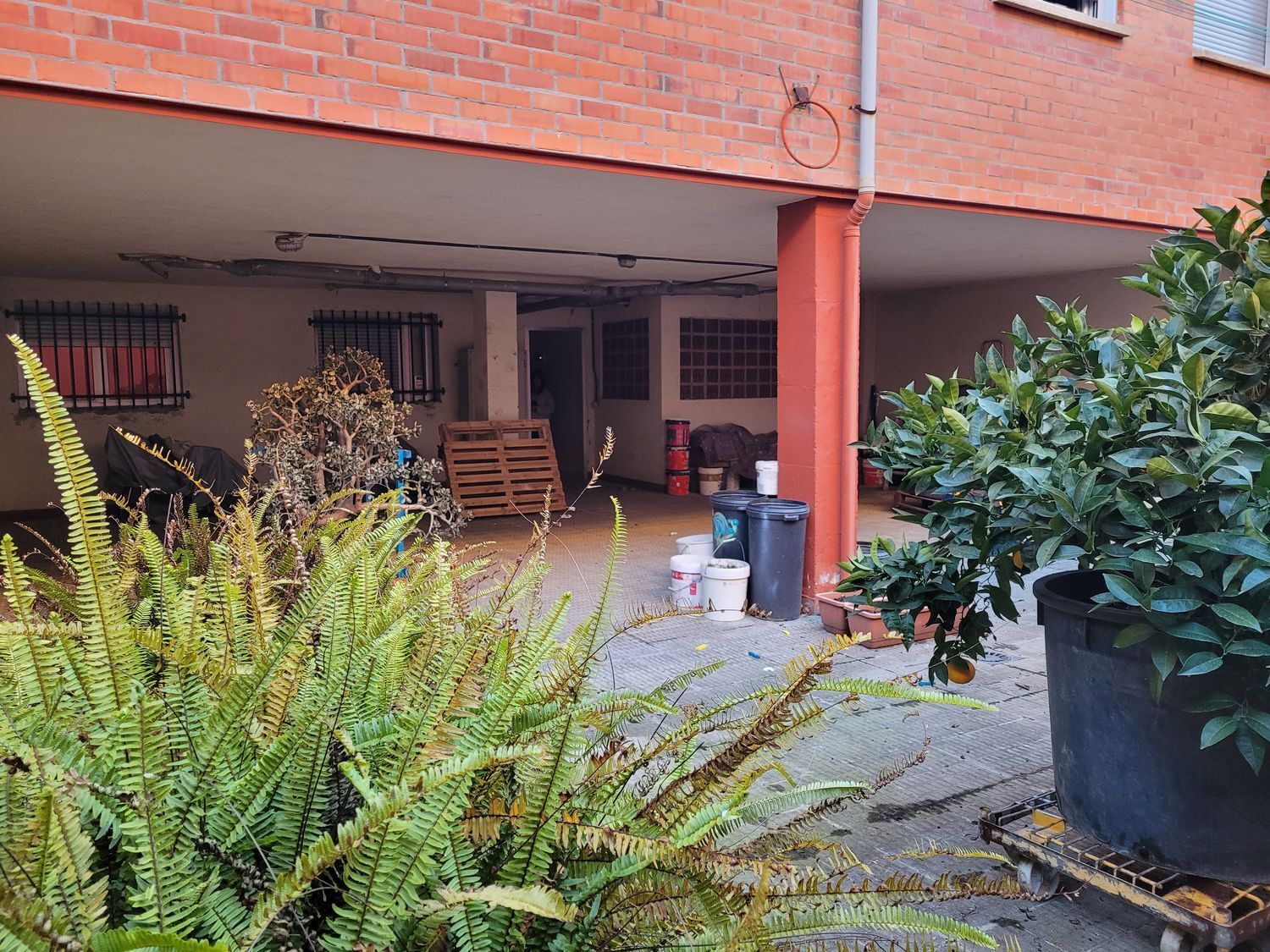 Negocios-Venta-Valladolid-1639137-Foto-28