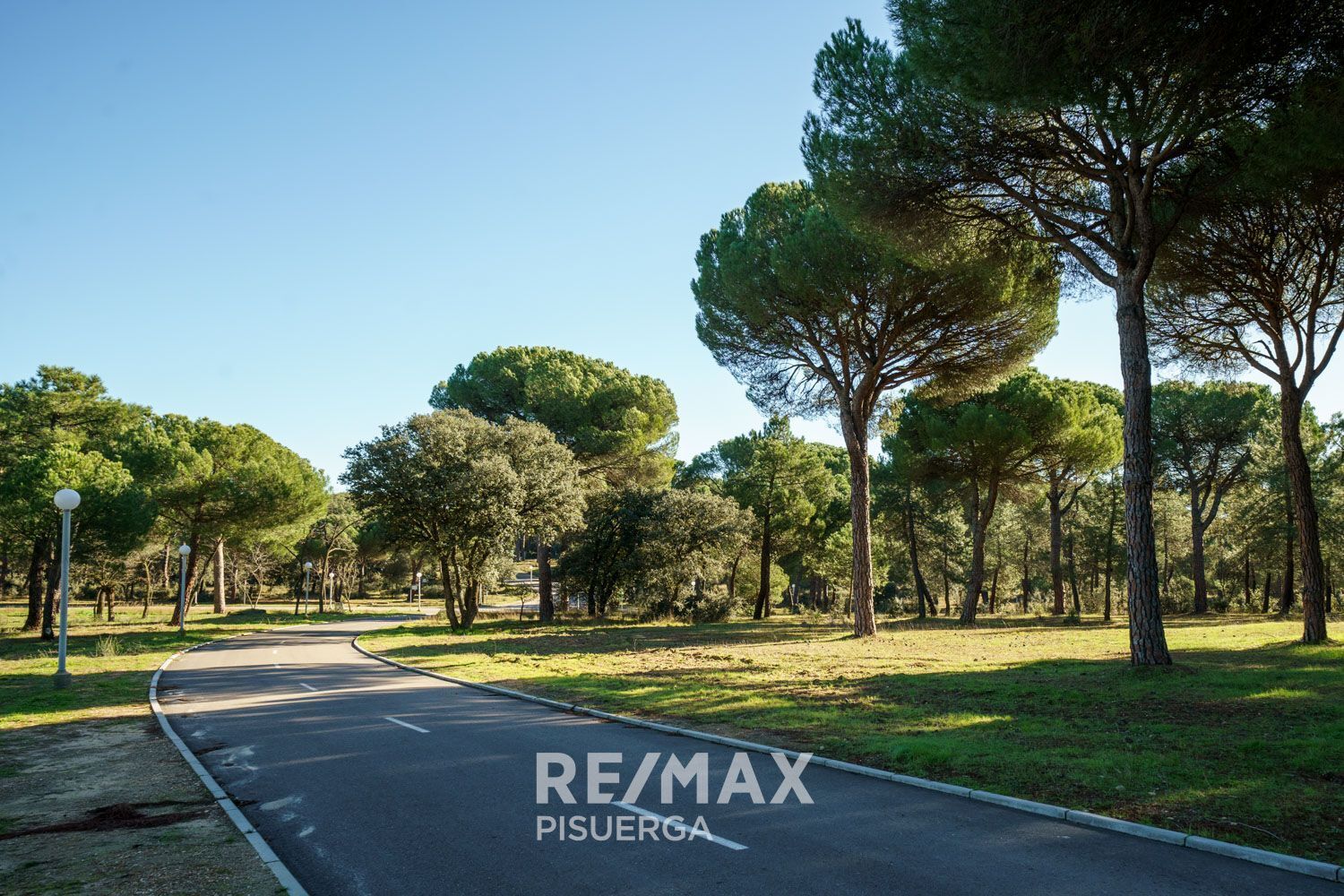 Casas o chalets-Venta-Tordesillas-1656085-Foto-102