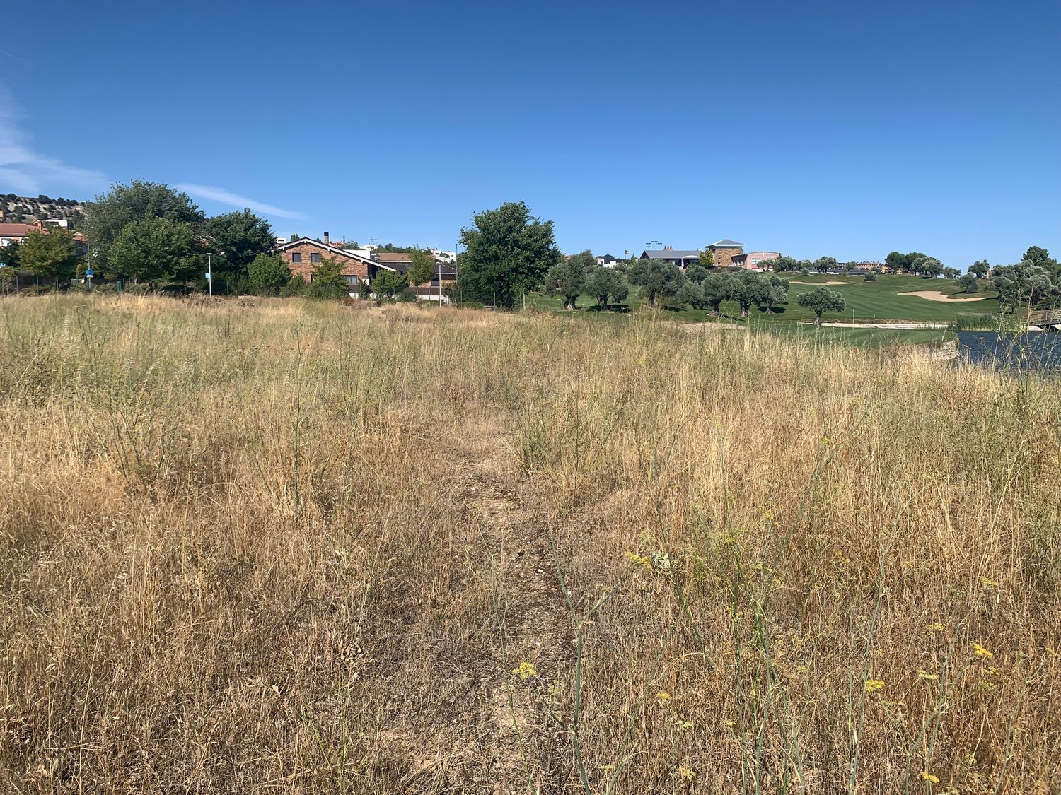 Fincas y solares-Venta-Arroyo de la Encomienda-1650712-Foto-4
