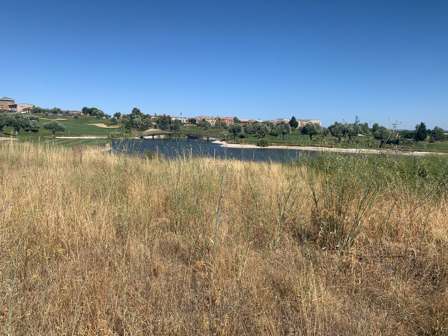 Fincas y solares-Venta-Arroyo de la Encomienda-1650712-Foto-3