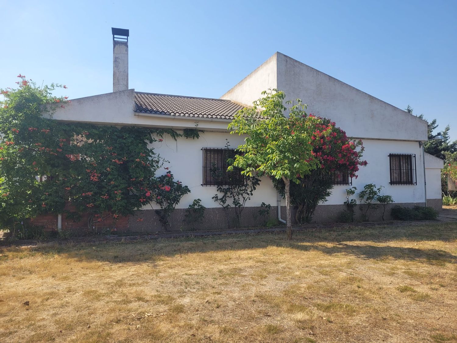 Casas o chalets-Venta-Matapozuelos-1834422