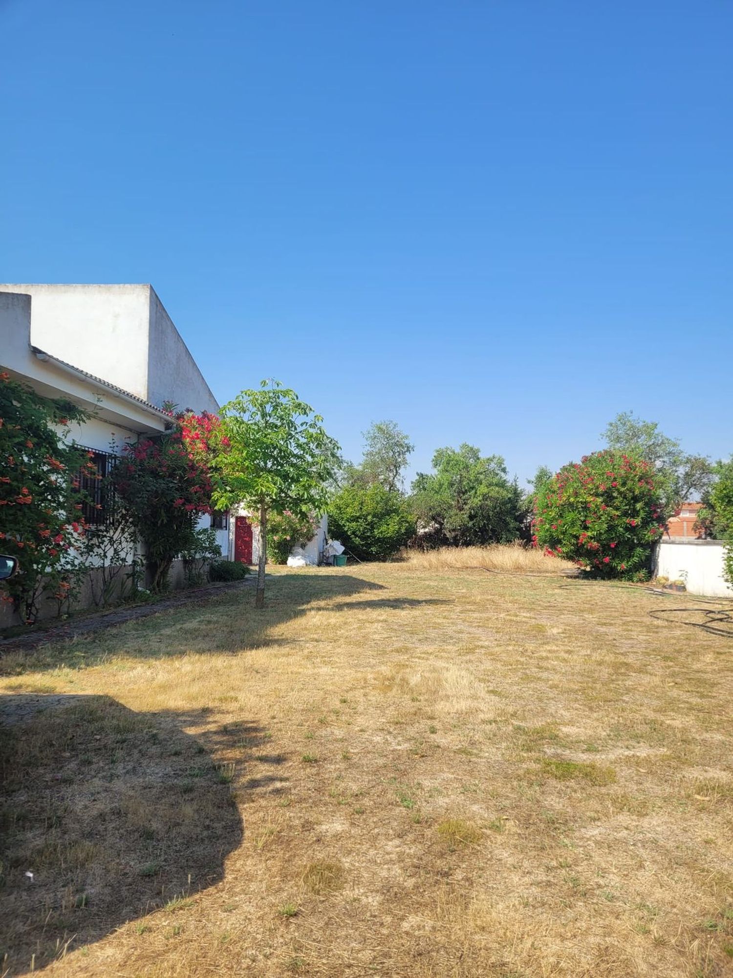 Casas o chalets-Venta-Matapozuelos-1834422-Foto-8