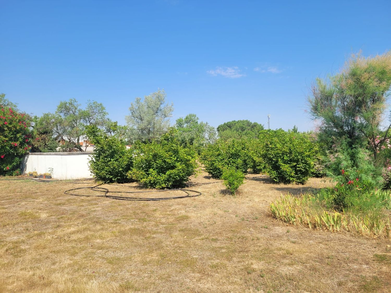 Casas o chalets-Venta-Matapozuelos-1834422-Foto-10