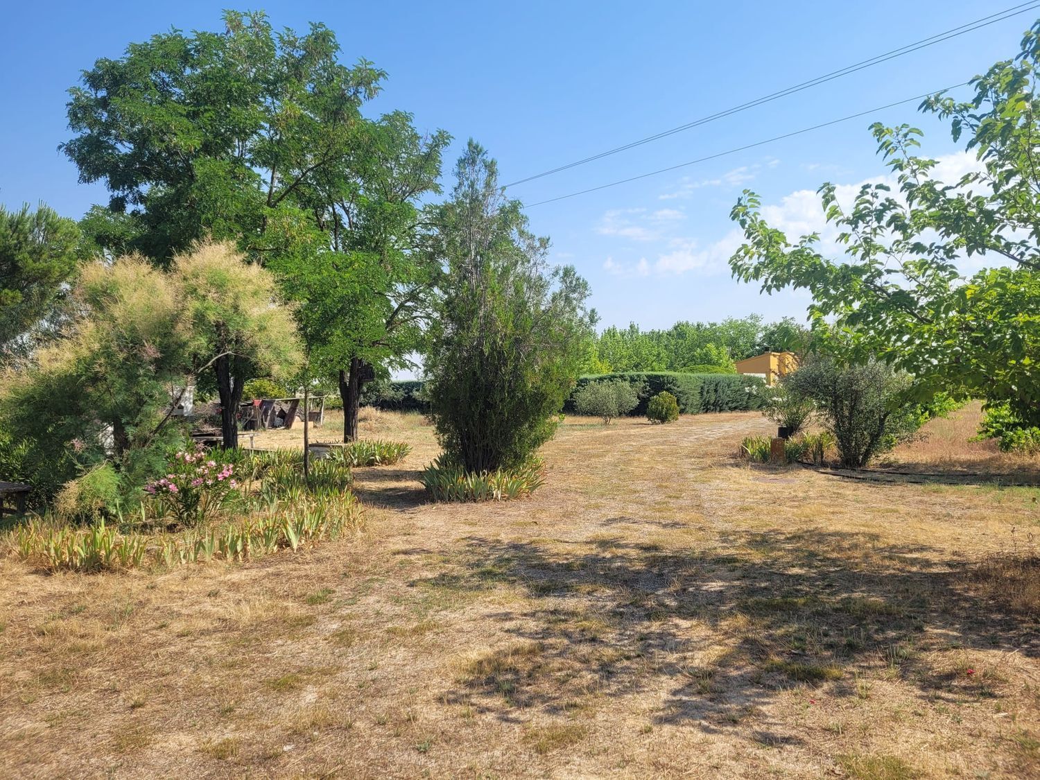 Casas o chalets-Venta-Matapozuelos-1834422-Foto-11