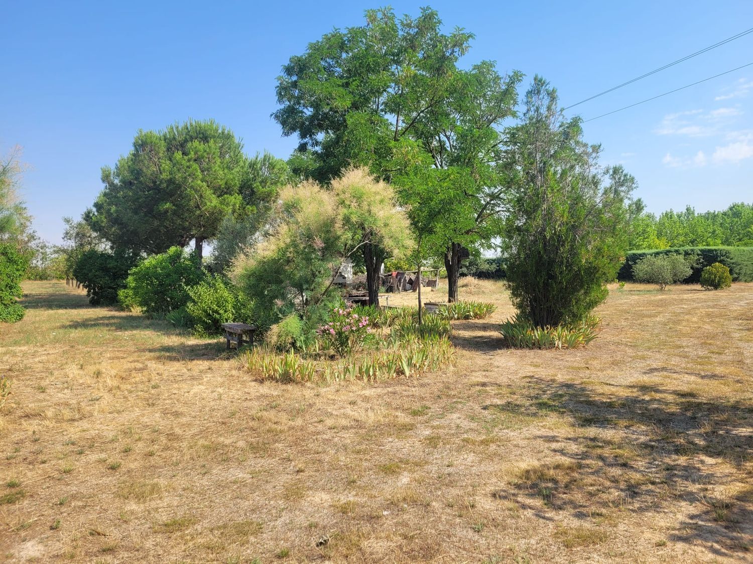Casas o chalets-Venta-Matapozuelos-1834422-Foto-13