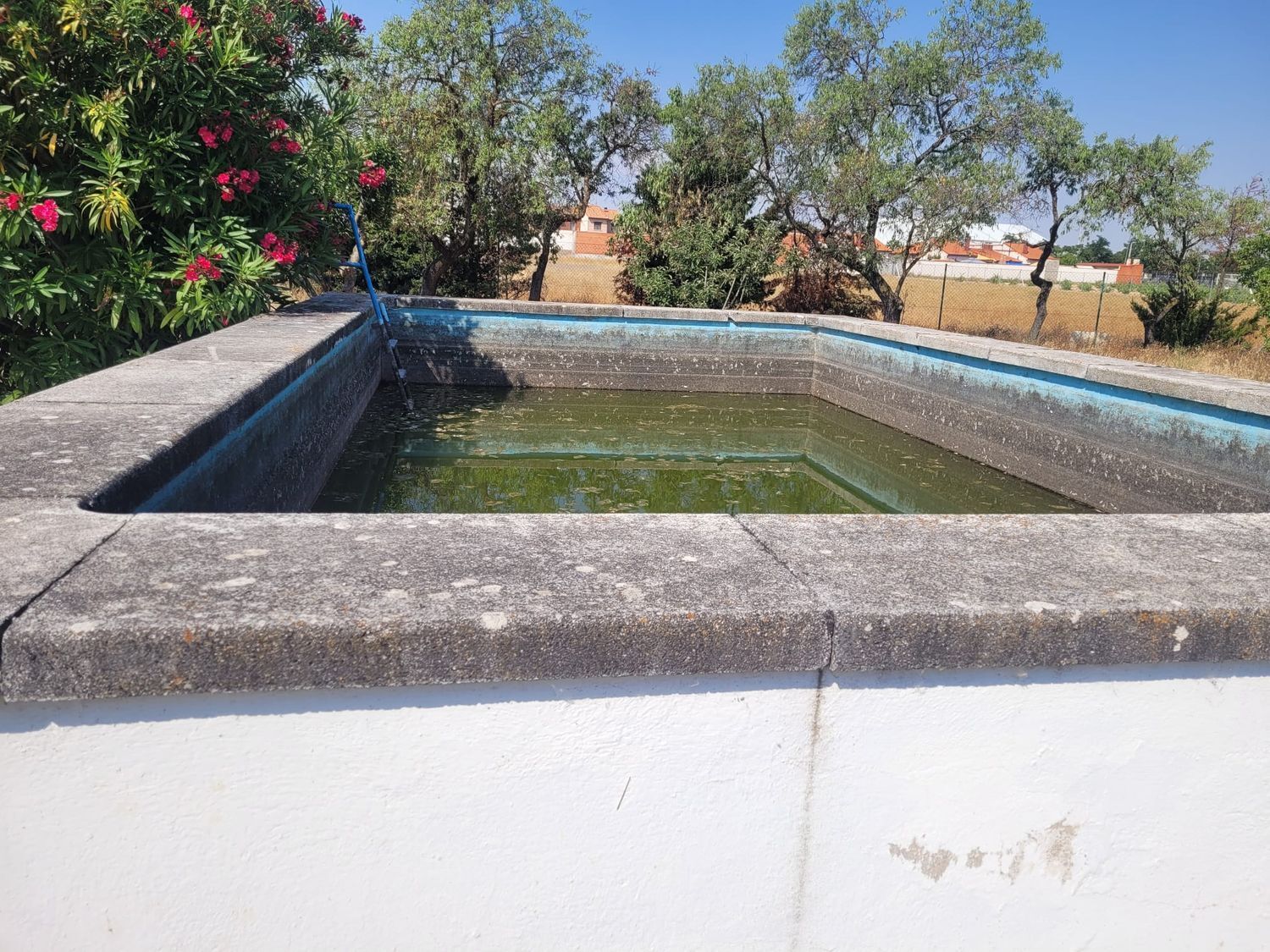 Casas o chalets-Venta-Matapozuelos-1834422-Foto-14