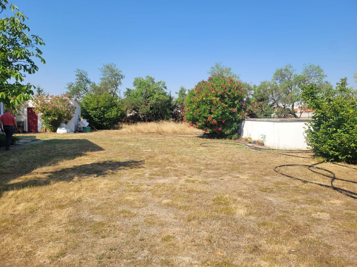 Casas o chalets-Venta-Matapozuelos-1834422-Foto-12