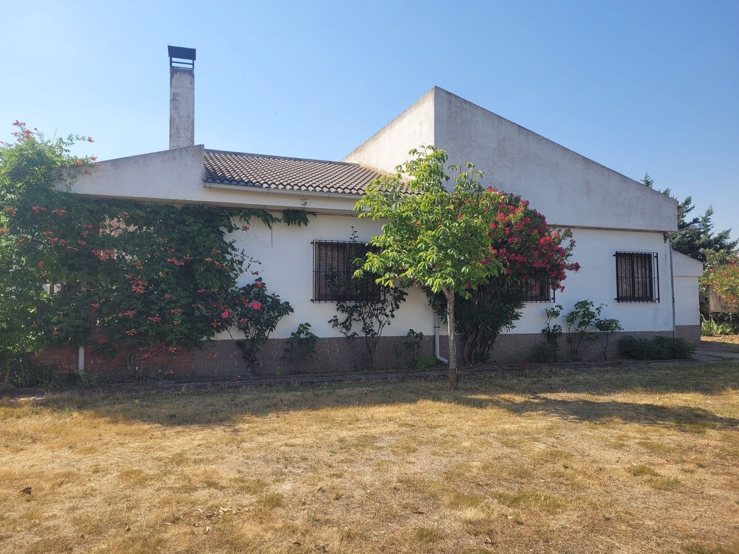 Casas o chalets-Venta-Matapozuelos-1834422-Foto-15