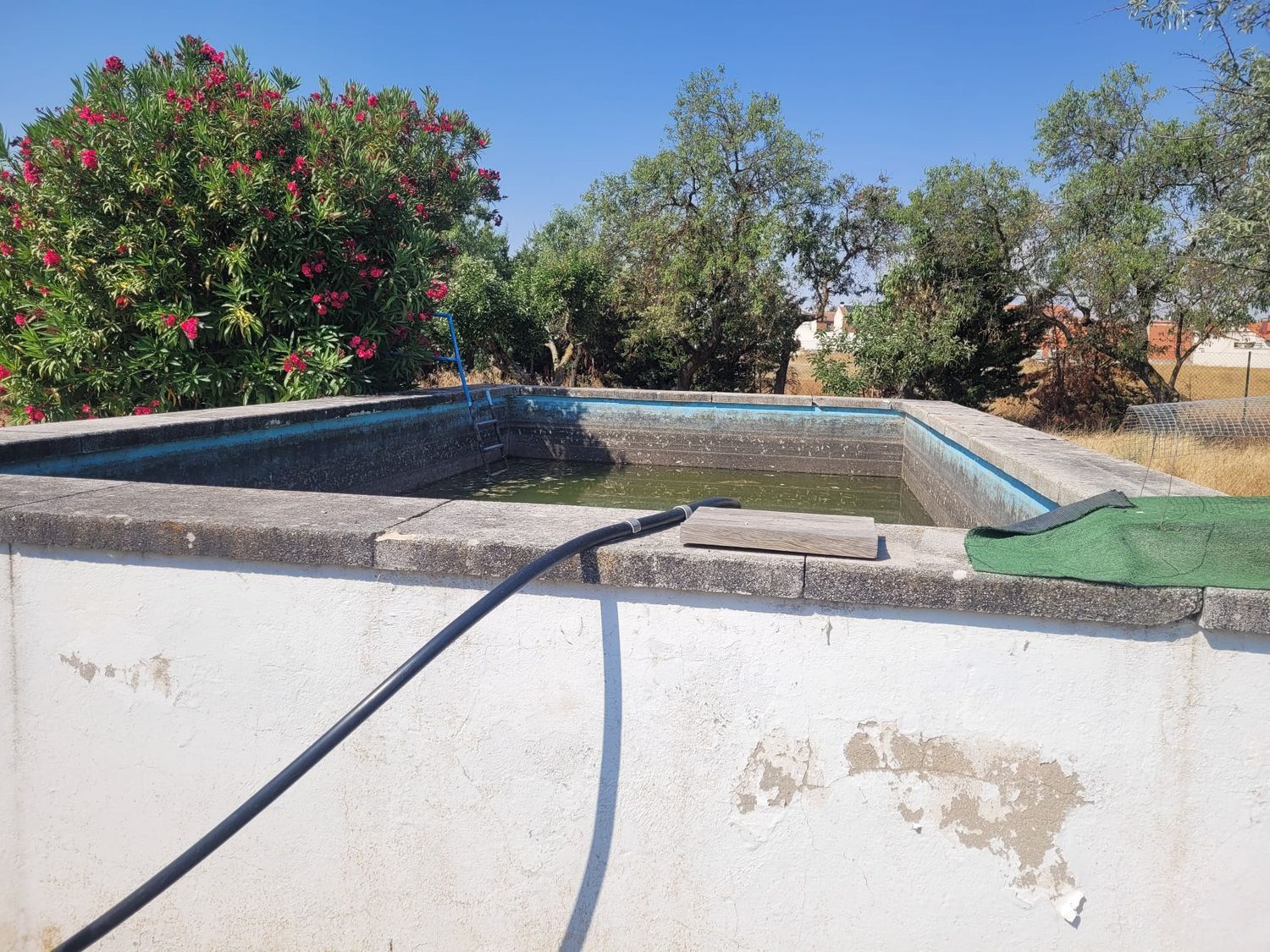Casas o chalets-Venta-Matapozuelos-1834422-Foto-17