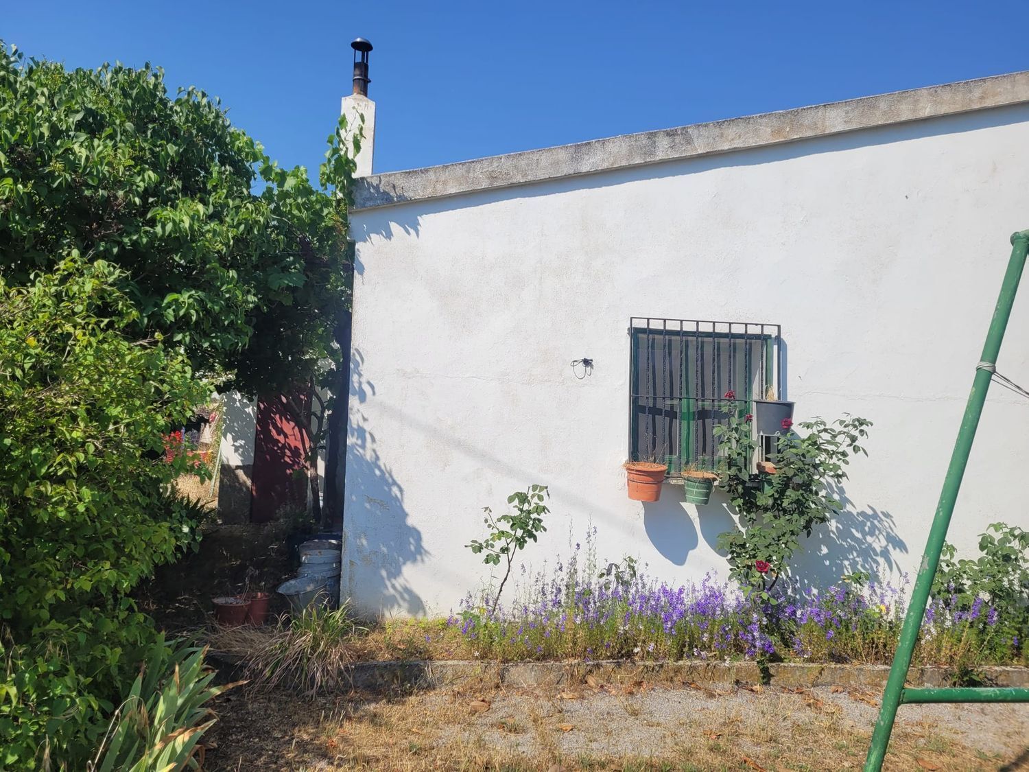 Casas o chalets-Venta-Matapozuelos-1834422-Foto-25