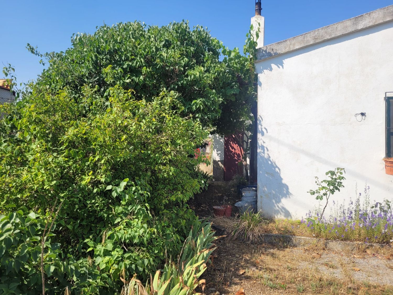 Casas o chalets-Venta-Matapozuelos-1834422-Foto-27